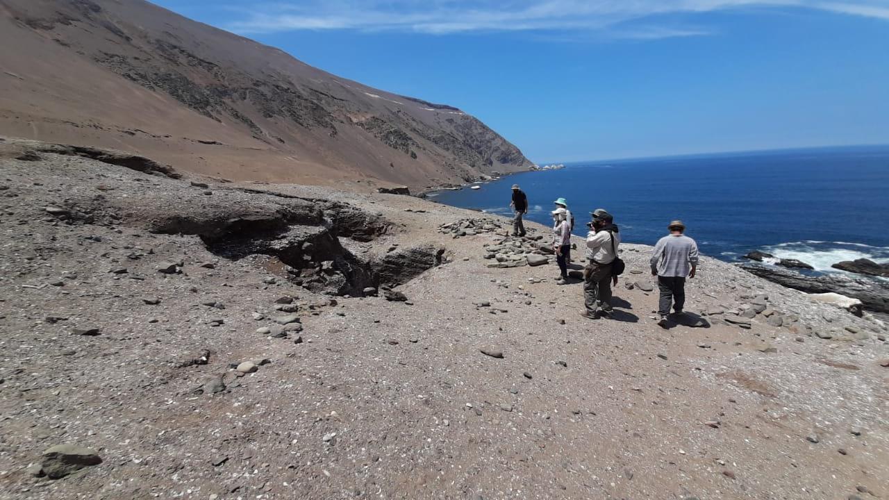 Desembocadura del río Camarones