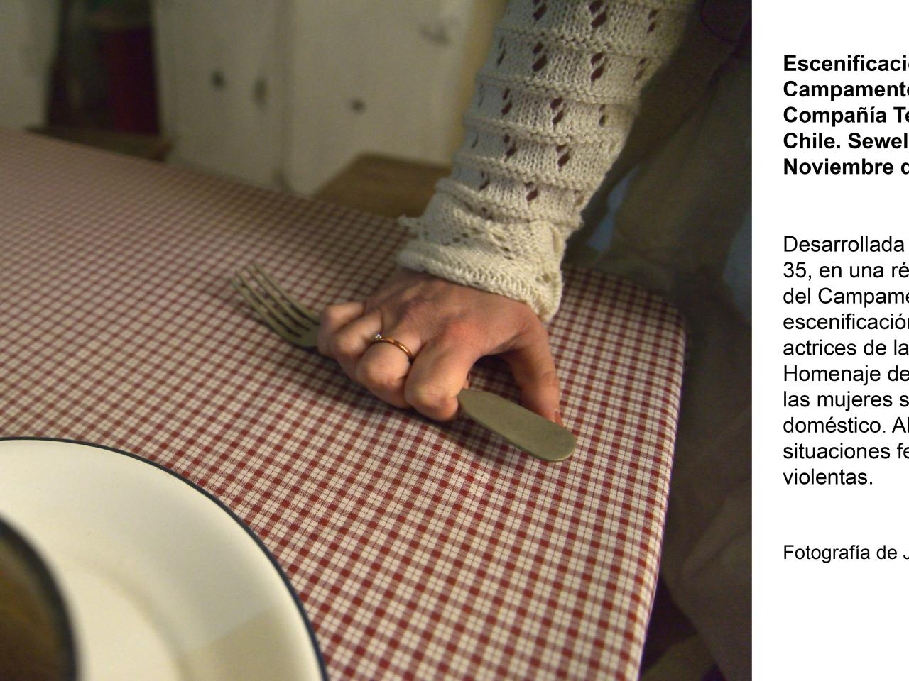 Escenificación de la vida en el Campamento Sewell: sinsabores de la vida doméstica