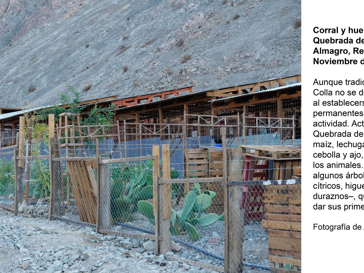 Corral y huerto en la localidad de Quebrada de Agua Dulce (acercamiento)