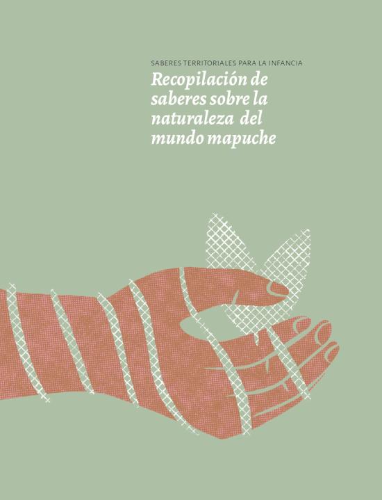 Saberes territoriales para la infancia