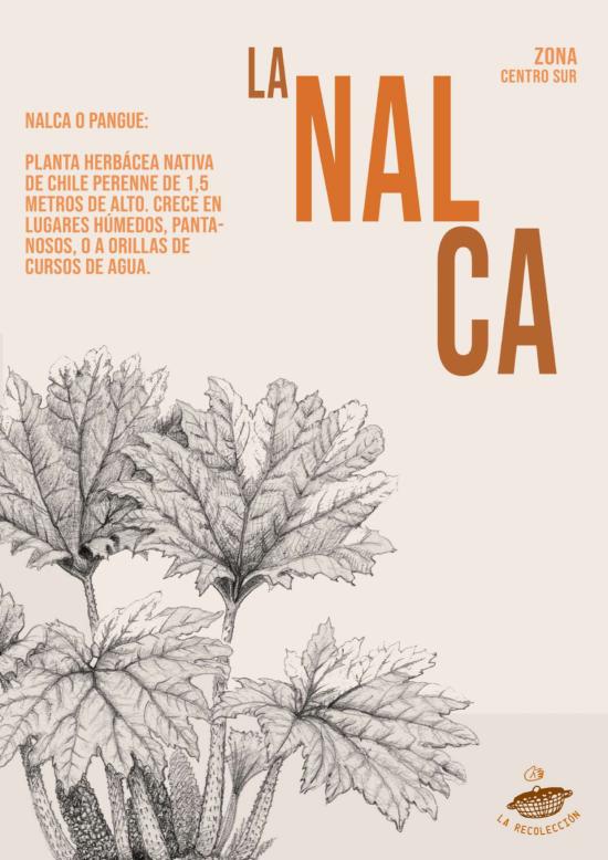 La recolección: valorización de una práctica cultural