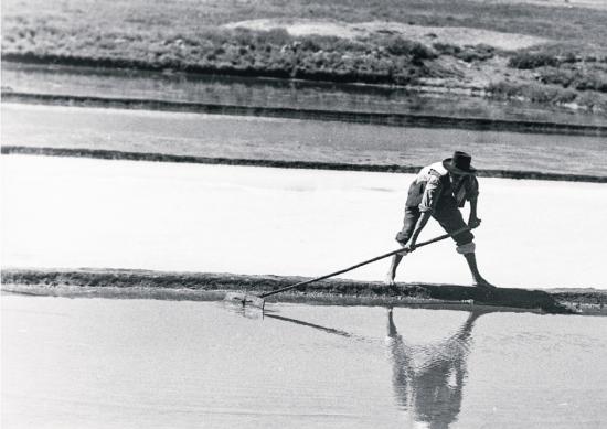 Archivo Fotográfico Pedro Barboza Mardini