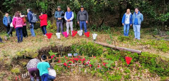 Sitio Histórico Matanza de Mulchén: Fundo Carmen y Maitenes.