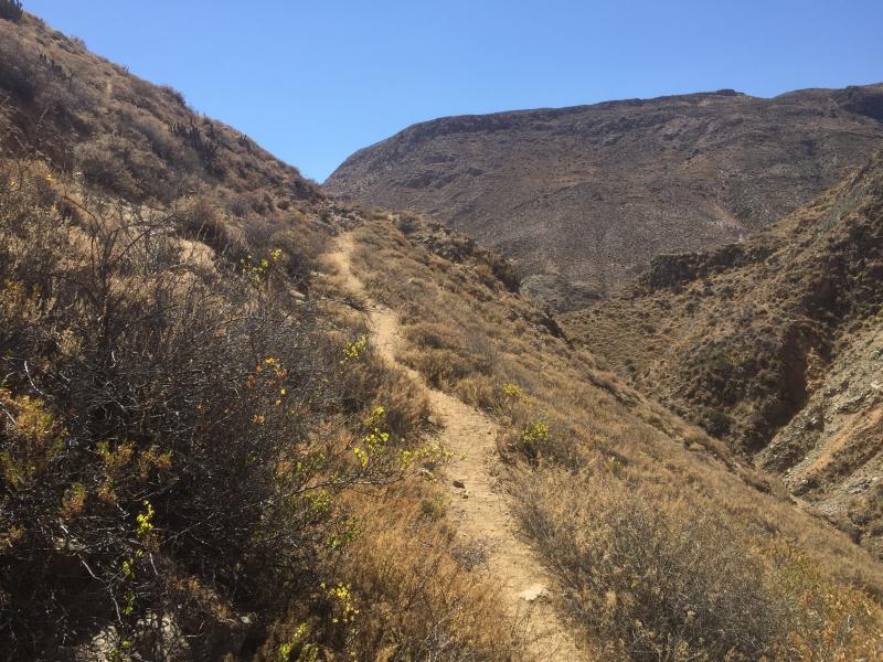 “Camino formado por despeje superficial, avanzando por ladera de cerro al sur de Putre, Ruta de la Sierra, Subtramo Putre - Zapahuira, Comuna de Putre, Región de Arica y Parinacota” “Camino formado por despeje superficial, avanzando por ladera de cerro al sur de Putre, Ruta de la Sierra, Subtramo Putre - Zapahuira, Comuna de Putre, Región de Arica y Parinacota”