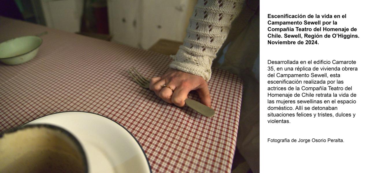 Escenificación de la vida en el Campamento Sewell: sinsabores de la vida doméstica