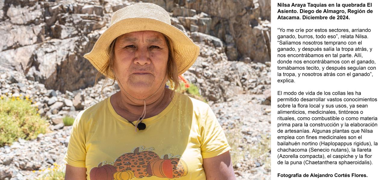 Nilsa Araya Taquias Nilsa Araya Taquias