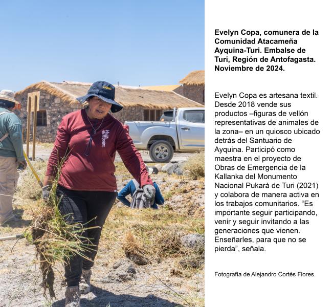 Evelyn Alicia Copa Yufla